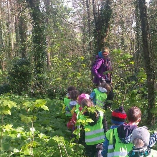 18814133_262972170835833_1824583838100399670_n