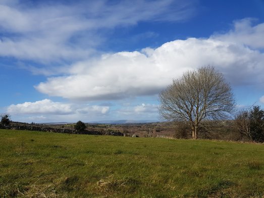 94359488_847491372383907_8987430460875341824_o